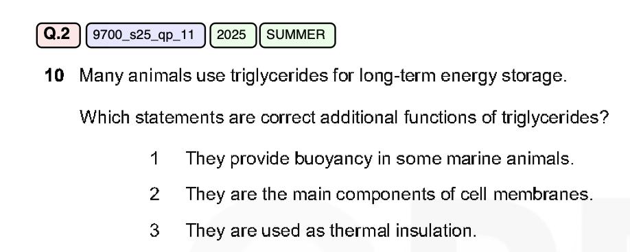 Question numbers visible in the generated Question Paper